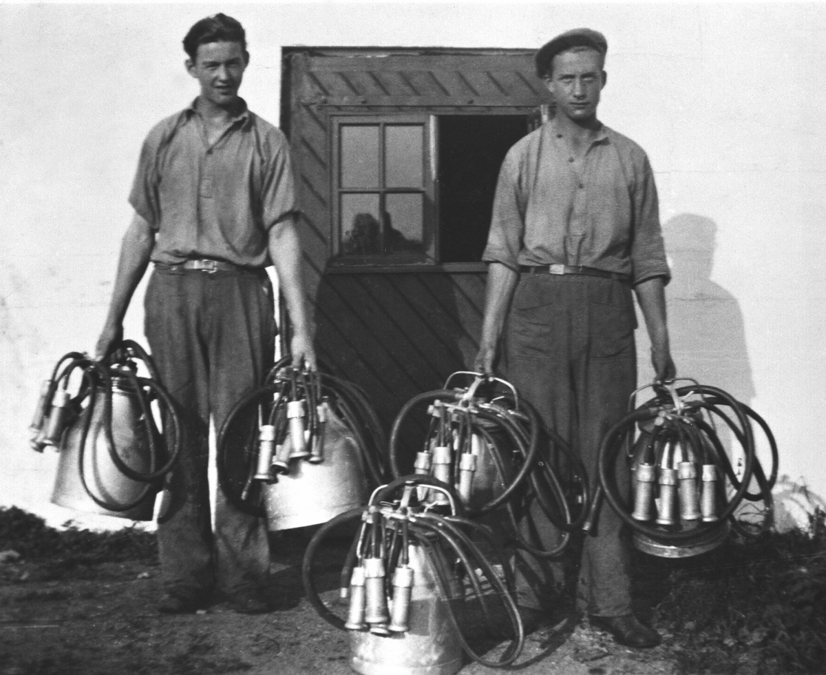 Anno Domkirkeodden, Sveisere på Hovinsholm, Helgøya med mjølkemaskiner. Utenfor fjøset. Fra venstre er Magne Ørbekk, Tolle Oddvar Lier f.1921.