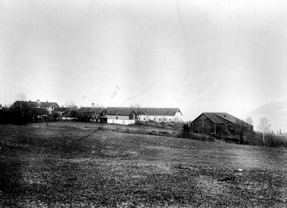 Anno Domkirkeodden, Hovinsholm, Helgøya sett fra nordvest.