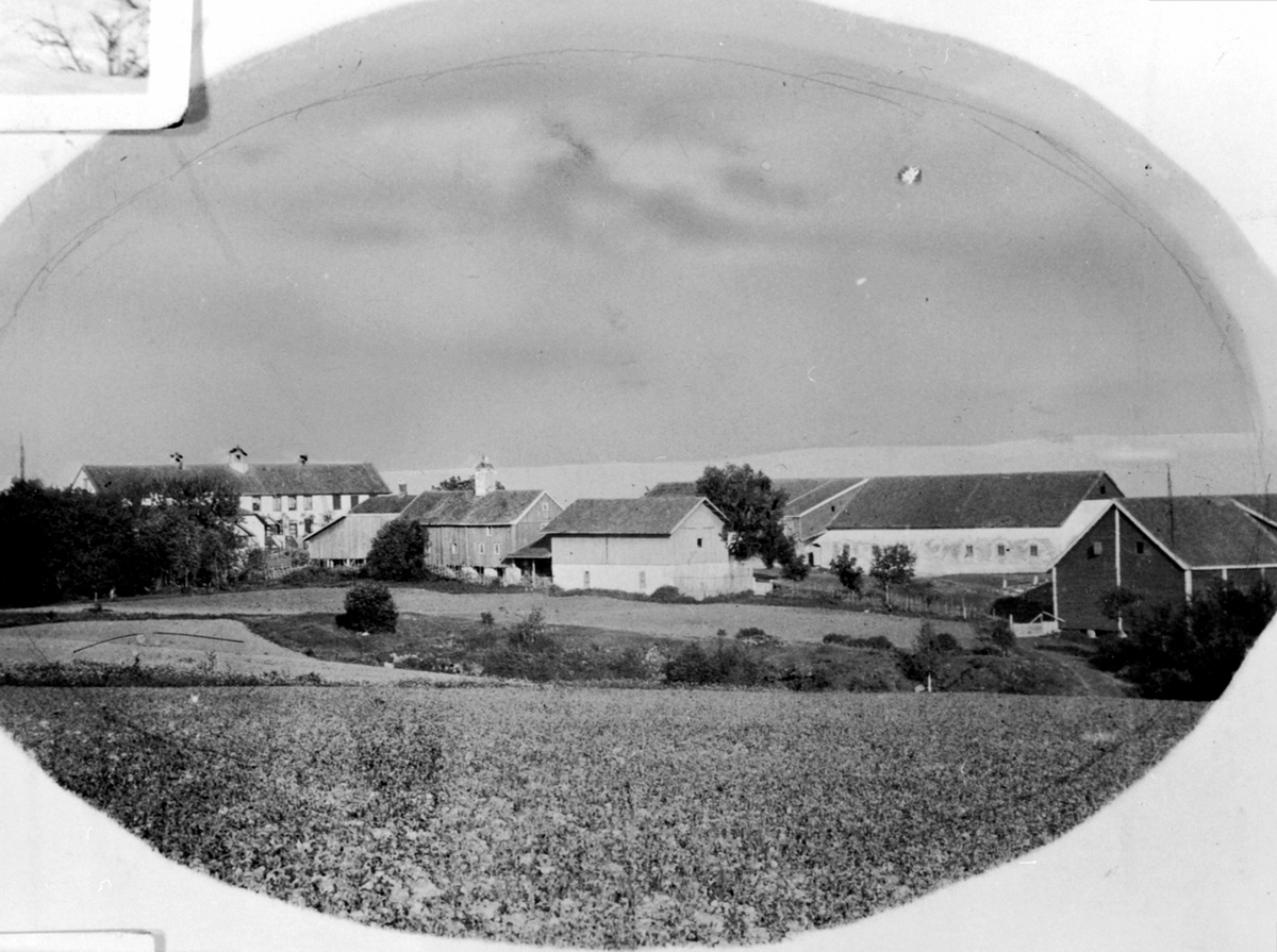 Anno Domkirkeodden, Bygninger på Hovinsholm, Helgøya.