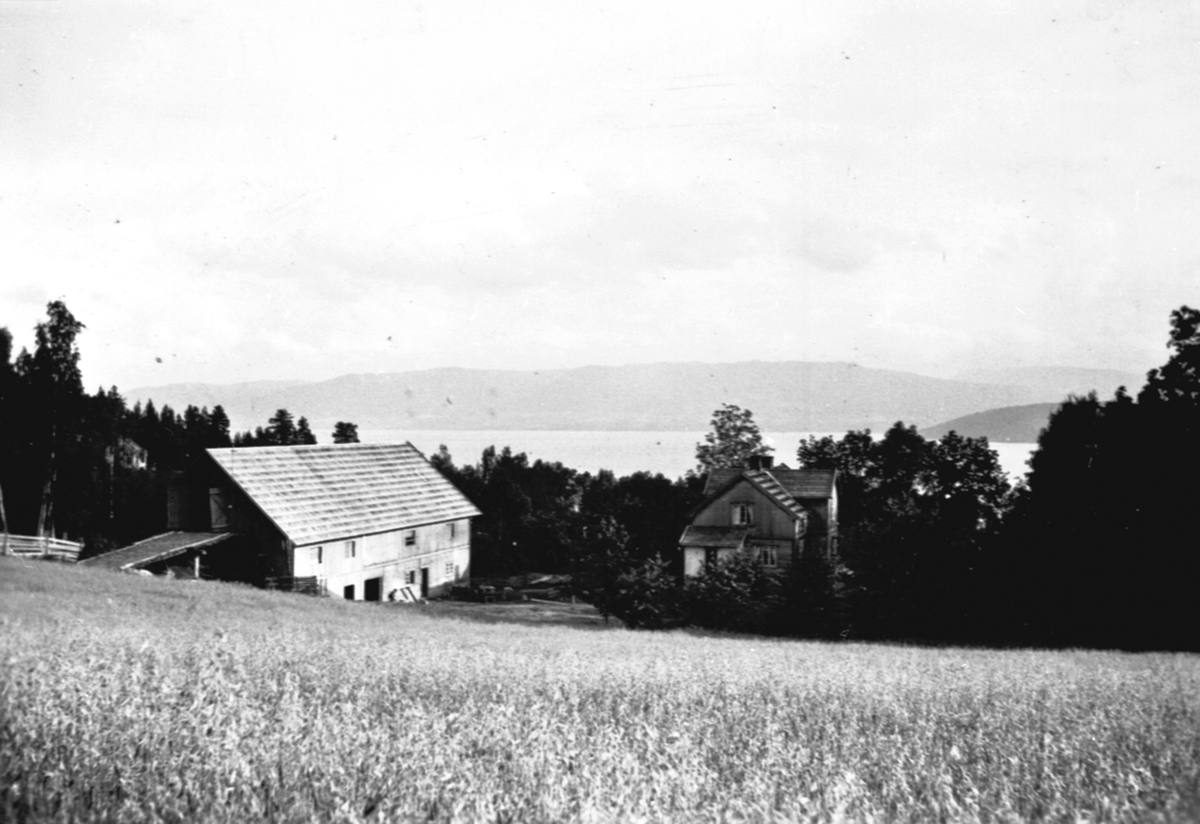 Anno Domkirkeodden, Hovedbygning og låve/fjøs på Raknerud nordre, Helgøya.