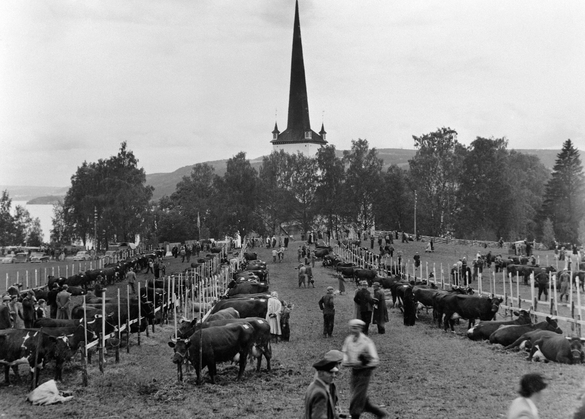 Anno Domkirkeodden, Bygdeutstilling, fesjå, prestegardsjordet ved Tingvang, Ringsaker.