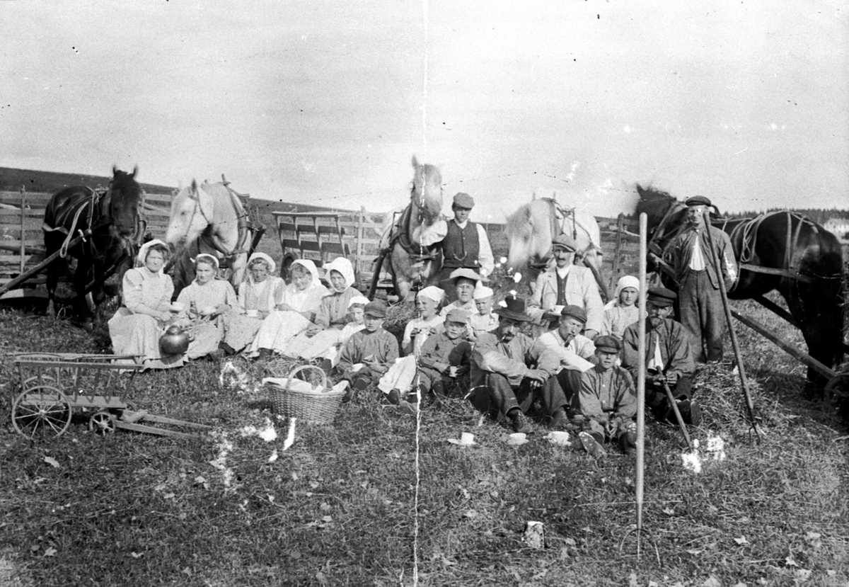 Anno Domkirkeodden, Høyonn på Skredshoel, Ringsaker. Stor gruppe slåttefolk, voksne og barn, har matpause (eftasværd). Hester og høyvogner.