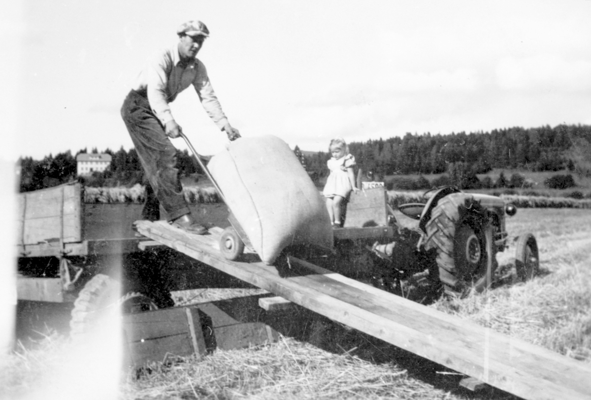 Anno Domkirkeodden, Skuronn på Stein gård, Ringsaker. Laster sekker med korn på tilhenger. Karen Kvarberg, Kåre Mikkelsen.