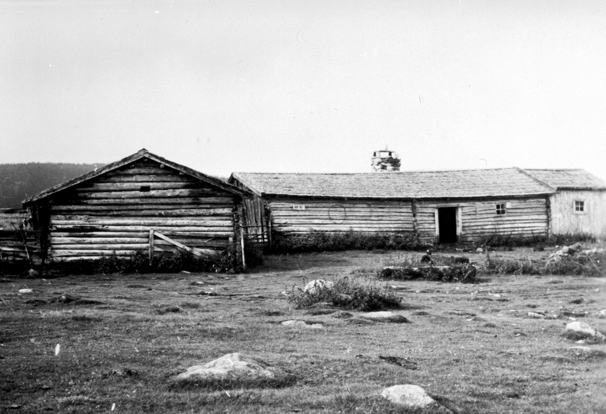 Anno Domkirkeodden, Aursmoen seter i Ringsaker Almenning. Ble revet, det er bygd hytte der nå. Svennerud, Helgøya.