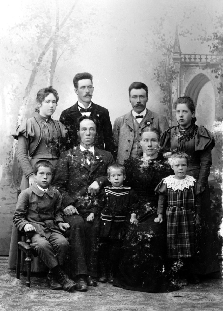 Anno Domkirkeodden, Skomaker Olaus Torsen Fjeld f.1848 med kone Lina Nilsdattter Staff f.1849 og de 7 barna. Foran fra venstre er Ludvik, Johan, Marie. Bak fra venstre er Olga, Nils, Thorvald, Gyda. Flyttet til Gjøvik. Fra Fjell, Helgøya.