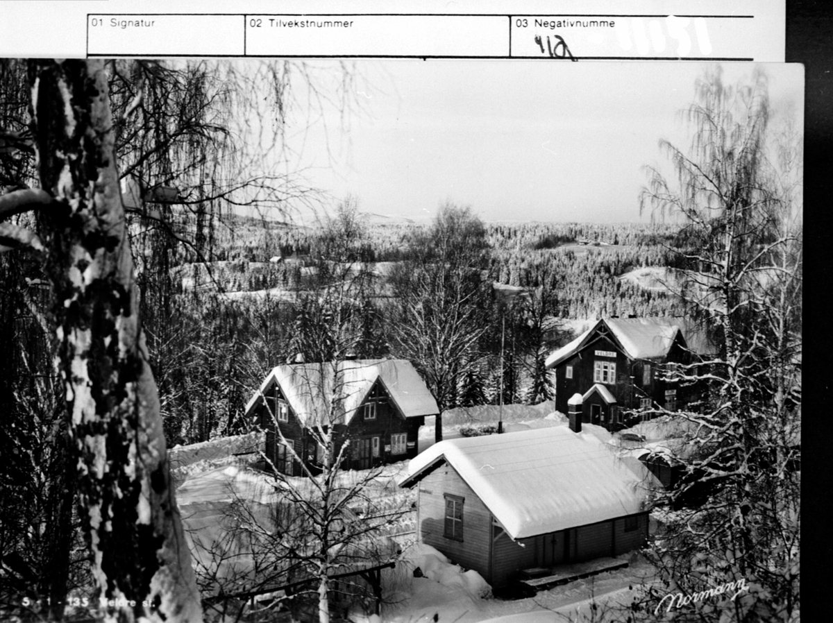 Anno Domkirkeodden, Oversikt, Veldre stasjon, Ringsaker. Vinter.