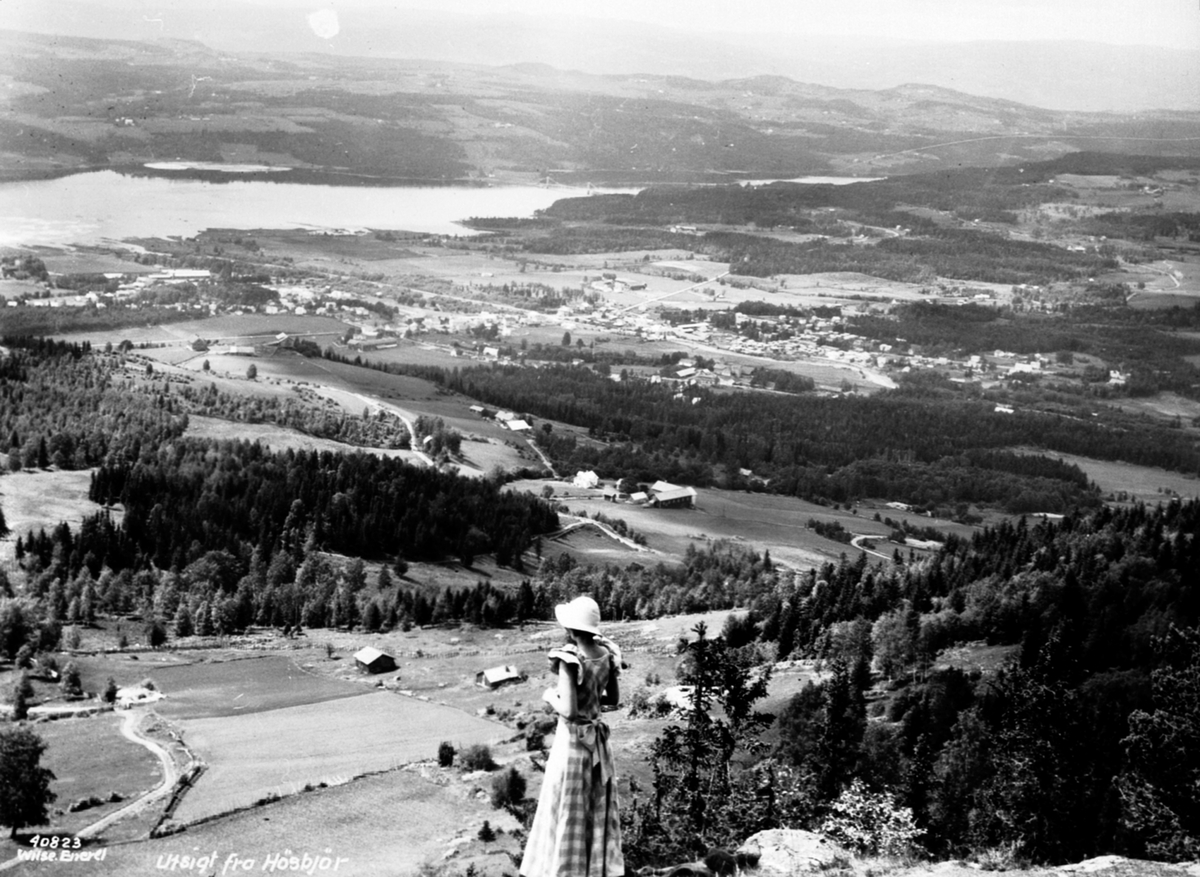 Anno Domkirkeodden, Landskap, utsikt mot Brumunddal fra Høsbjøråsen, dame i forgrunn.