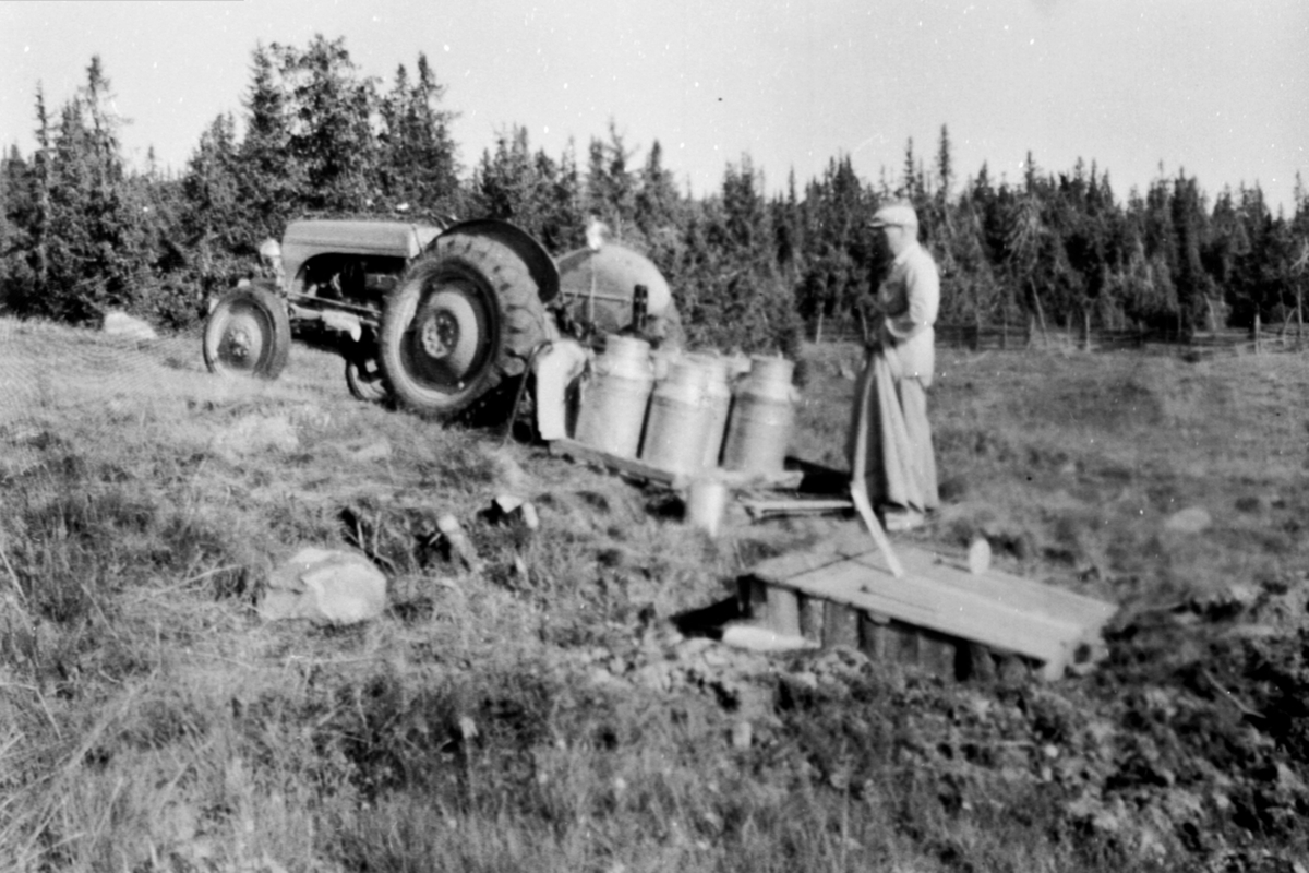 Anno Domkirkeodden, Traktortransport av melk til avkjølingskum på Moste seter i Almenningen. Erik Jevne fra Leine østre kjører. Traktoren ble også brukt til vakumpumpe til melkemaskinen.
