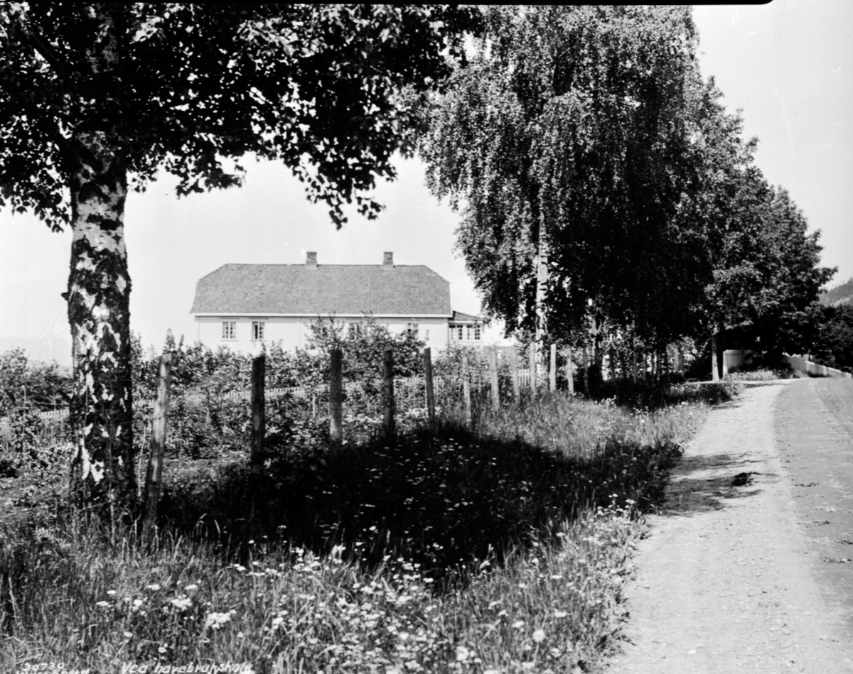 Anno Domkirkeodden, Eksteriør, Vea Hagebruksskole, Moelv, riksveg 50.