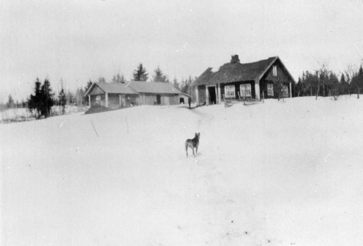 Anno Domkirkeodden, Husmannsplassen Ekeberg på Hoel gård, Nes, Hedmark.