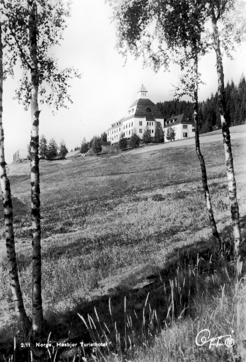 Anno Domkirkeodden, Høsbjør Turisthotell, Furnes.