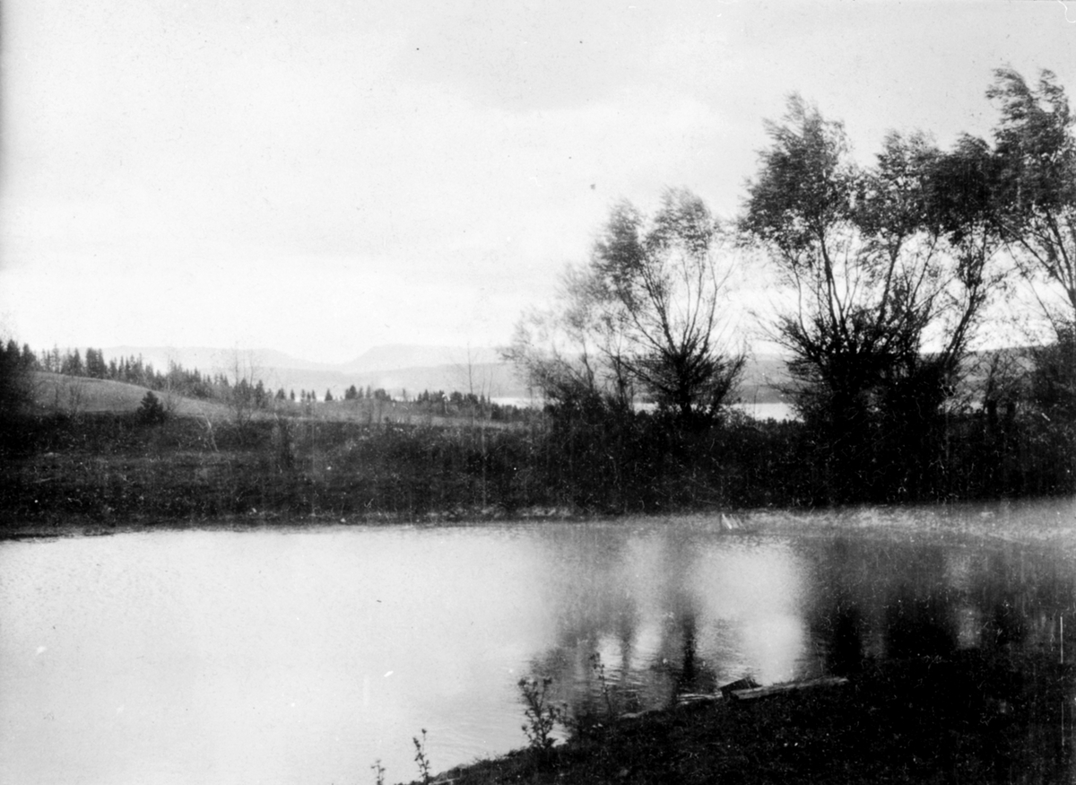 Anno Domkirkeodden, Dammen på Mellom-Kise, Nes, Hedmark.