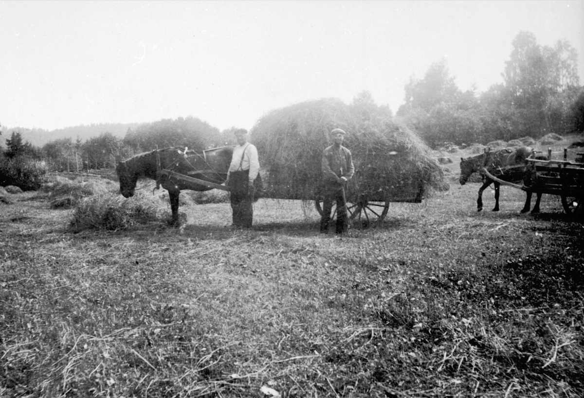 Anno Domkirkeodden, Slåttonn på Lien nedre (Nerlien), Nes, Hedmark. Høykjøring med hest og kjerre. Ole Nerlien til venstre.
