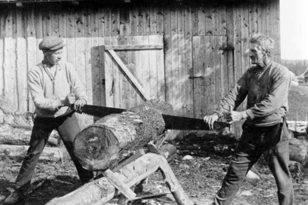 Anno Domkirkeodden, 2 menn sager ved på Bjørnstadsetra, Løvlia, Ringsakerfjellet. Syver Nilsen og ukjent.