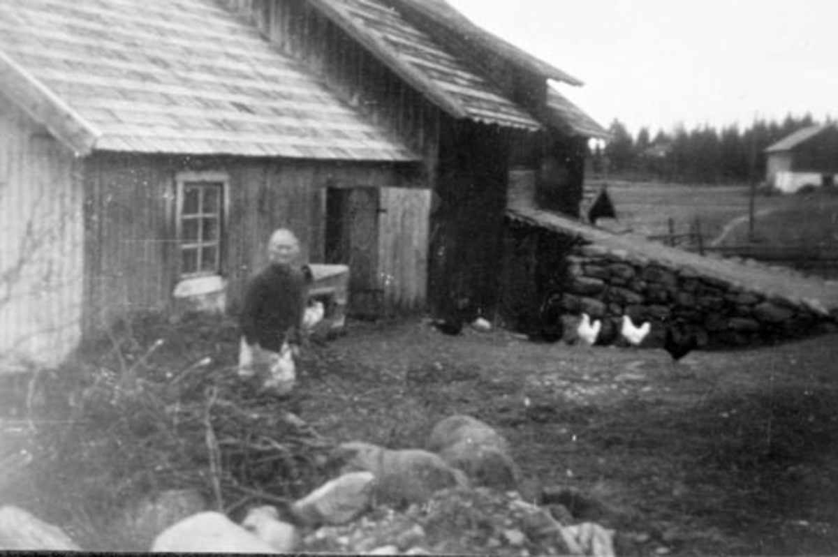 Anno Domkirkeodden, Veoline Sollien f.1874 mater høner utenfor låven i Engeland, Stavsjø, Hedmark.