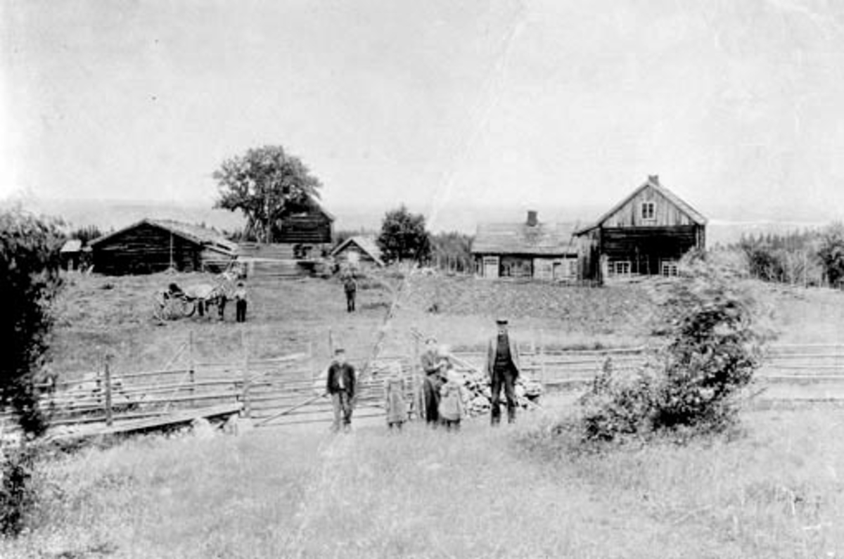 Anno Domkirkeodden, Eksteriør, gardsbruk, Duenger, Nes, Hedmark. Familien Duenger oppstillt. Ved grinda står fra høyre Syver Duenger, Elise med Syverin på armen, Emma ved mora, Margit og Nils. Hesten er fra Stenersens skysstasjon, fotograf Finborud brukte den. Til høyre står Tåle Enger.