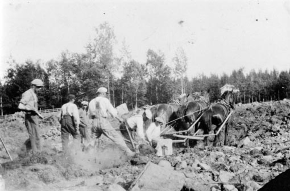 Anno Domkirkeodden, Nybrottsarbeid på Kråkerud, Ringsaker. Trespann hester med plog. Seks menn arbeider.