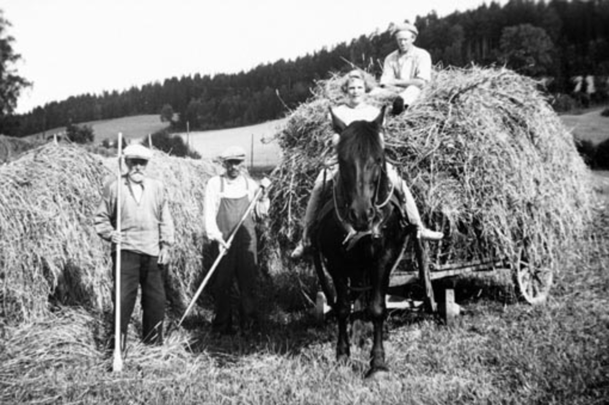 Anno Domkirkeodden, Høyonn, slåttonn. Hest med høyvogn. Fra venstre er Arnt Haug f. 1859, Andreas Haug f.1883. På lasset er Jørgen Haug f. 1913. På hesten er Borghild Johannesen.