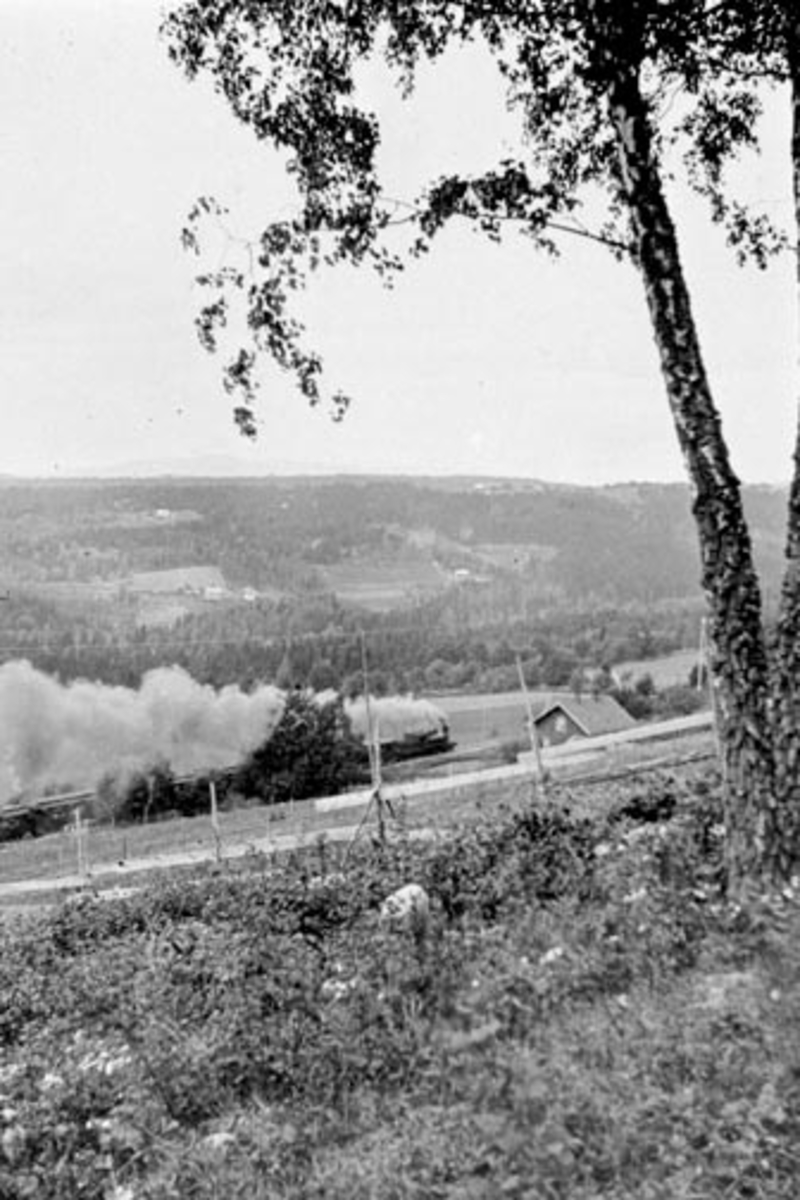Anno Domkirkeodden, Oversikt, Veldre, Ringsaker, langt tog med damp fra damplokomotiv.