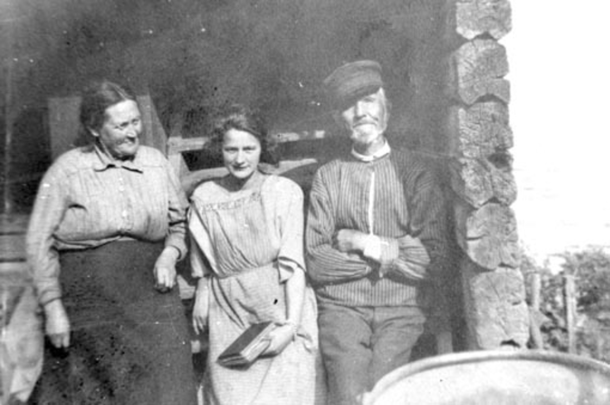 Anno Domkirkeodden, Fra venstre er Lovise Mathiasdatter f.15.2 1855, Agnes Johansdatter f.24.8 1897, Johan Kristiansen f.9.11 1846. Bildet er trolig tatt på konfirmasjonsdagen til Agnes og er i såfall tatt 6.10 1912. Bildet er tatt i Limstuen som var husmannsplass under Grefsheim, Nes, Hedmark.