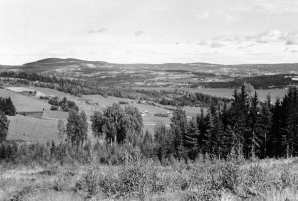 Anno Domkirkeodden, Oversikt husmannsplasser på Grefsheim, Nes, Hedmark. Skaugerlåven, Bakken, Sveen og Engen.