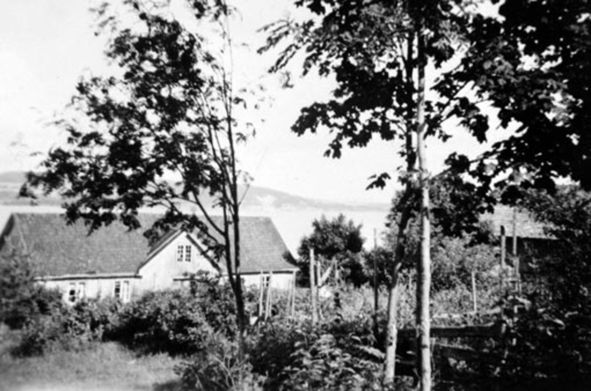Anno Domkirkeodden, Eksteriør, gardsbruk, Snekkersveen, Nes, Hedmark.