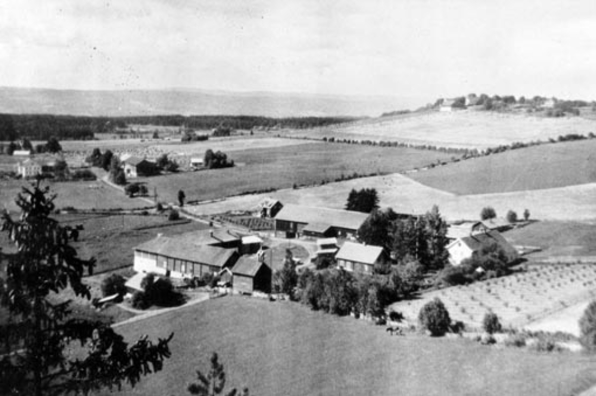 Anno Domkirkeodden, Gardsbruk, Kvam, Nes, Hedmark. Sett fra Kvamsberget. I bakgrunn er Ousdal nedre og øvre.
