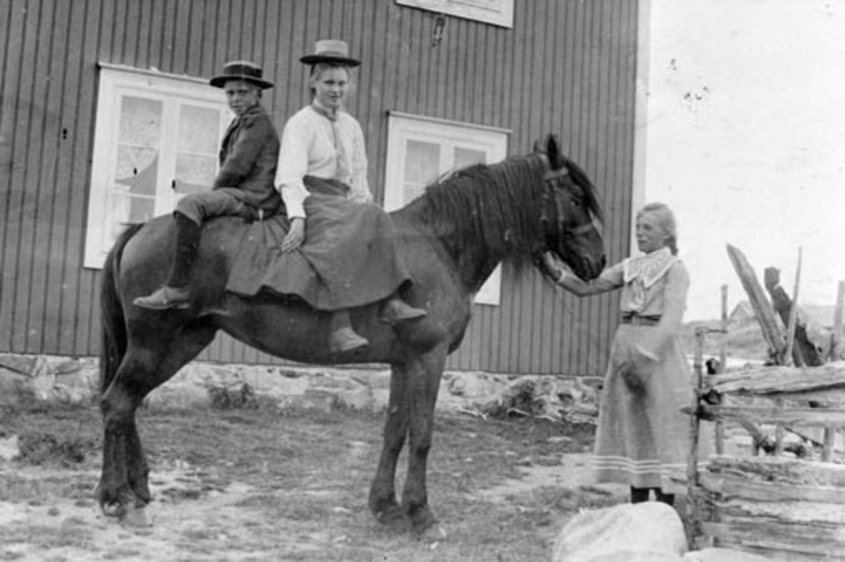 Anno Domkirkeodden, Barna på Ousdal nordre, Nes, Hedmark på hest. Fra venstre er Jørgen (1888-1965), Bergljot (1885-1949), Lovise (1889-1969).