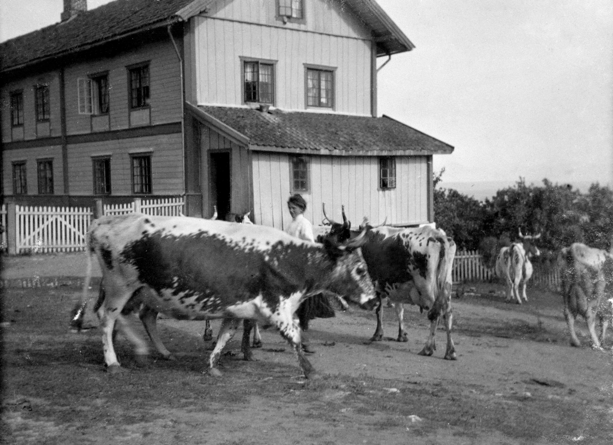 Anno Domkirkeodden, Hovedbygningen på Ousdal nordre, Nes, Hedmark ved kjøkkeninngangen. Budeie med telemarksku utenfor.