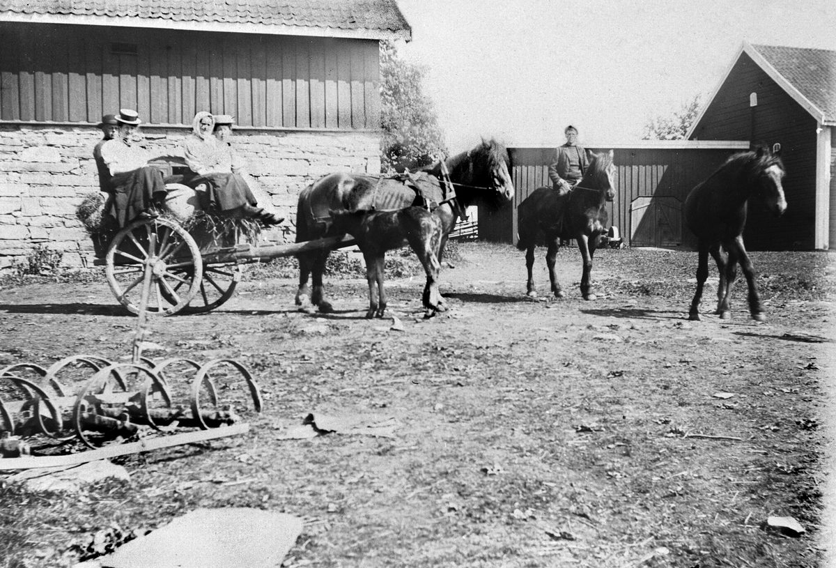 Anno Domkirkeodden, Til seters med hester og tohjulsvogn. Folk på tunet på Ousdal nordre, Nes, Hedmark.