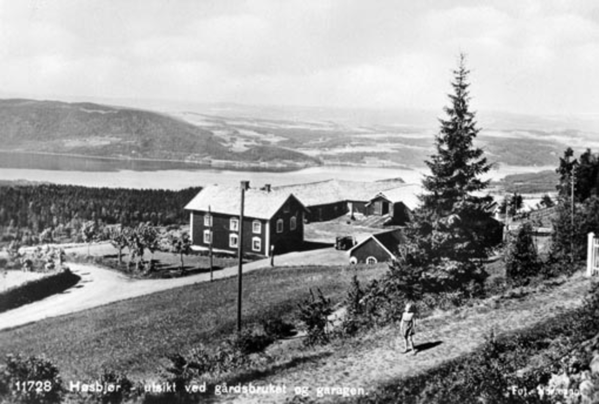 Anno Domkirkeodden, Eksteriør, gardsbruk, Høsbjør vestre, utsikt mot Furnesfjorden, Ringsaker.