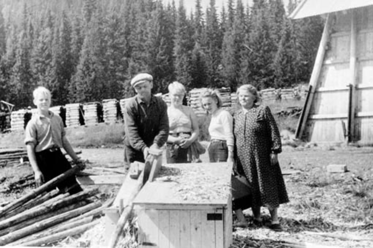Anno Domkirkeodden, Kvessing av gjerdestaur med sirkelsag, Brumundsaga, Ringsaker. Fra venstre er Magne Olsen, Oddvin Olsen, Ragnhild Olsen, Aslaug Olsen. Til høyre er Marie Olsen.