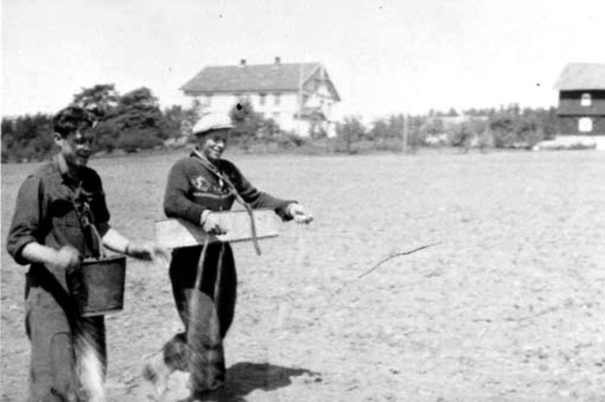 Anno Domkirkeodden, Våronn på Herstad, Stavsjø, Hedmark. Gjødselsåing. Arvid Kristiansen f.1920 med sålaup. Ola Lundstein (1927-1992) med bøtte. Hovedbygning og låve i bakgrunnen.