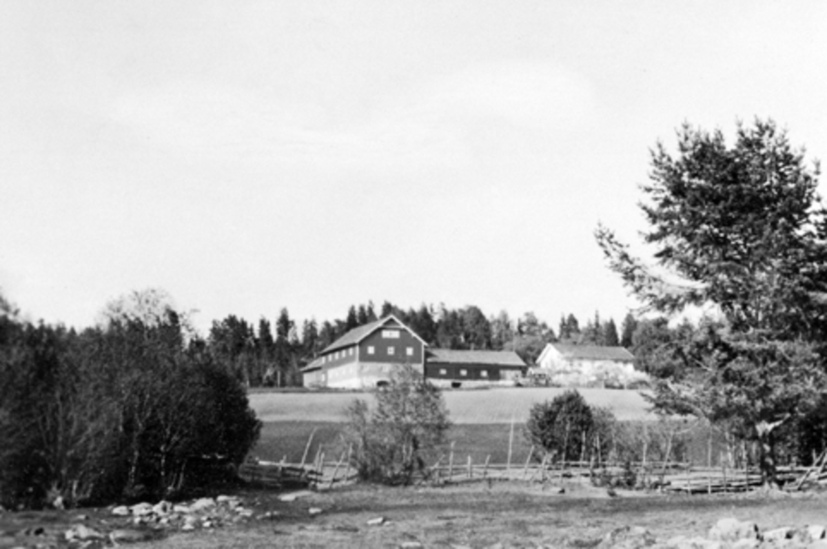 Anno Domkirkeodden, Eksteriør gardsbruk. Sandvold, Nes Hedmark sett fra stranda.
