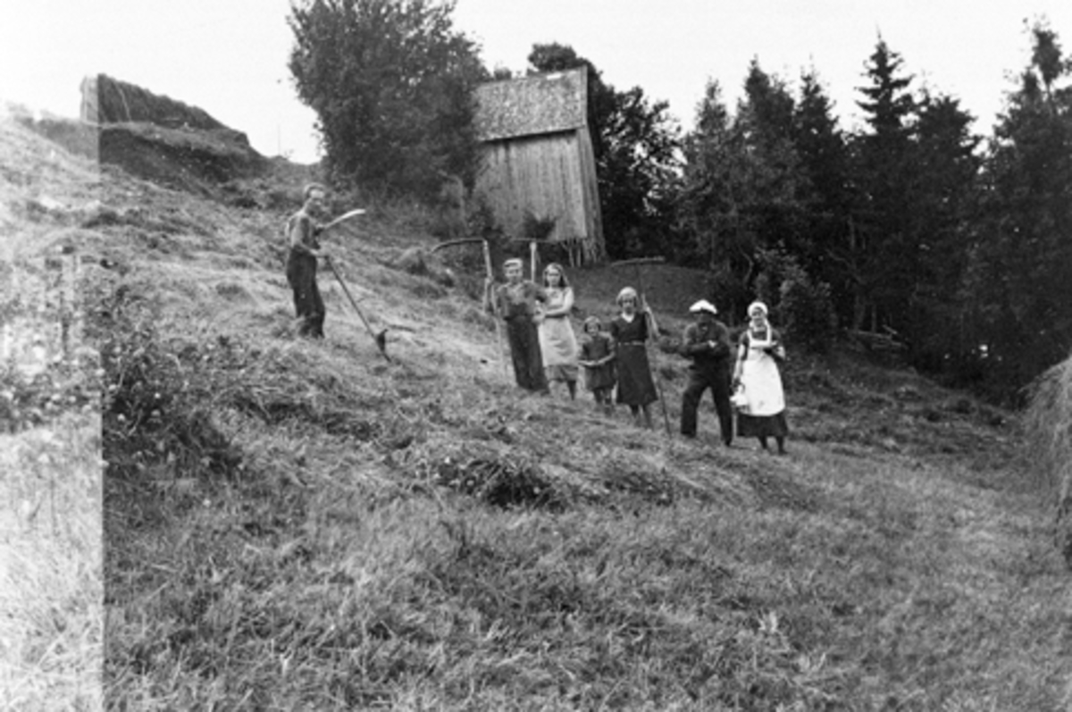 Anno Domkirkeodden, Slåttonn, voksne og barn med river hesjer høy, Nytrøen, Brumunddal.