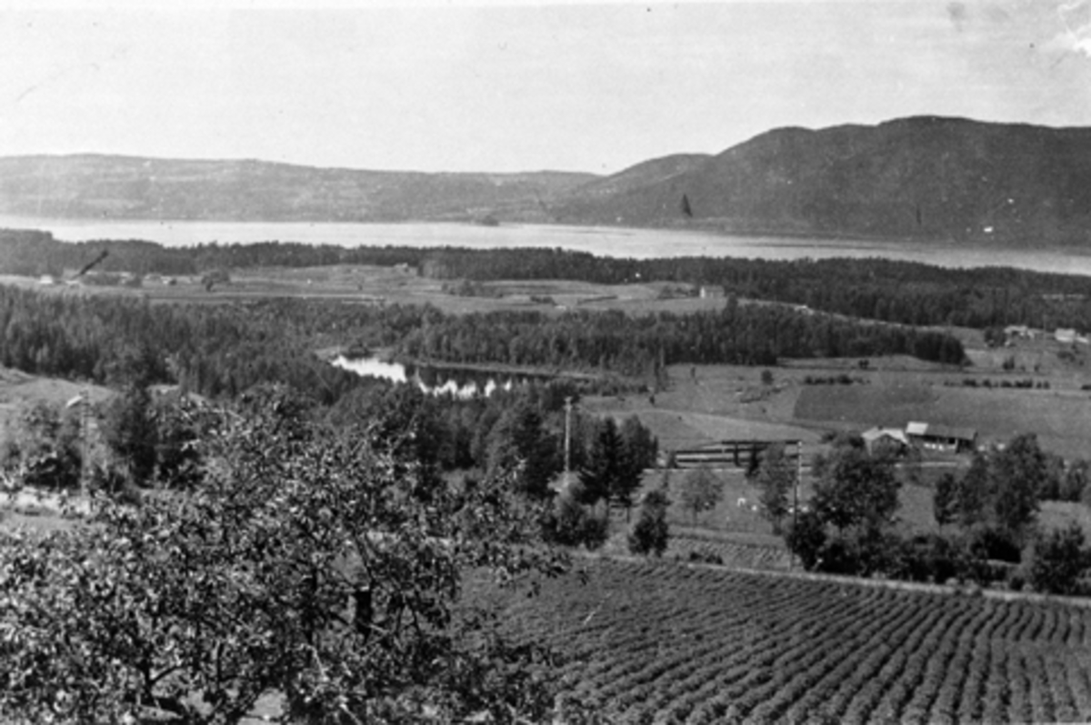 Anno Domkirkeodden, Utsikt fra Mørkved mot Mjøsa, Furnes, Ringsaker.