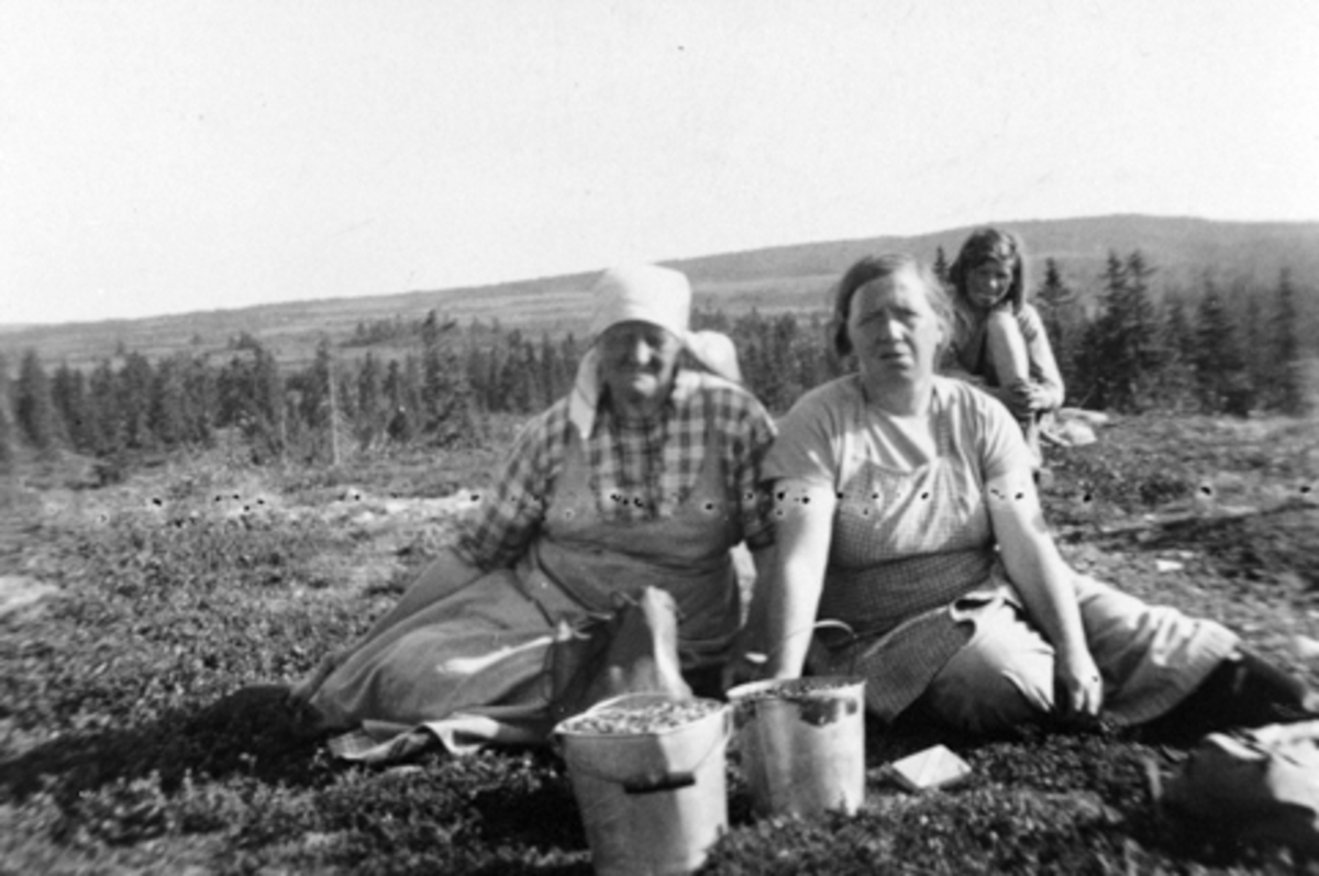 Anno Domkirkeodden, Multesanking på Øyungsfjellet, 3 damer med fulle bøtter, budeia til venstre. Ringsaker.