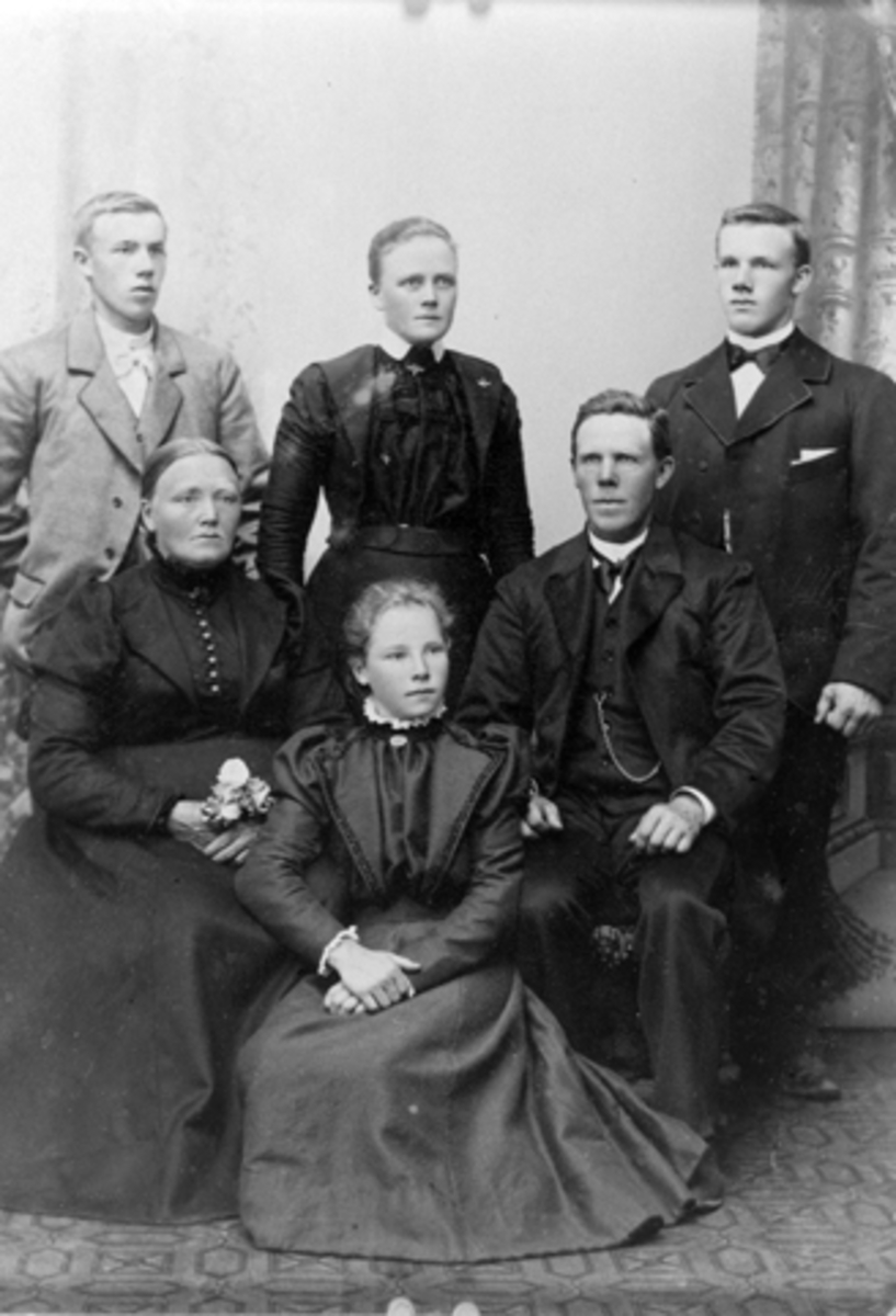 Anno Domkirkeodden, Familiebilde. Bak fra venstre Anton Lillevold F.1881, Mathea Lillevold F.1876, Martin Lillevold F.1879. Foran er Randine Lillevold F.1844, Anna Lillevold F:1886, Nils Lillevold F1855, Furnes, Ringsaker.