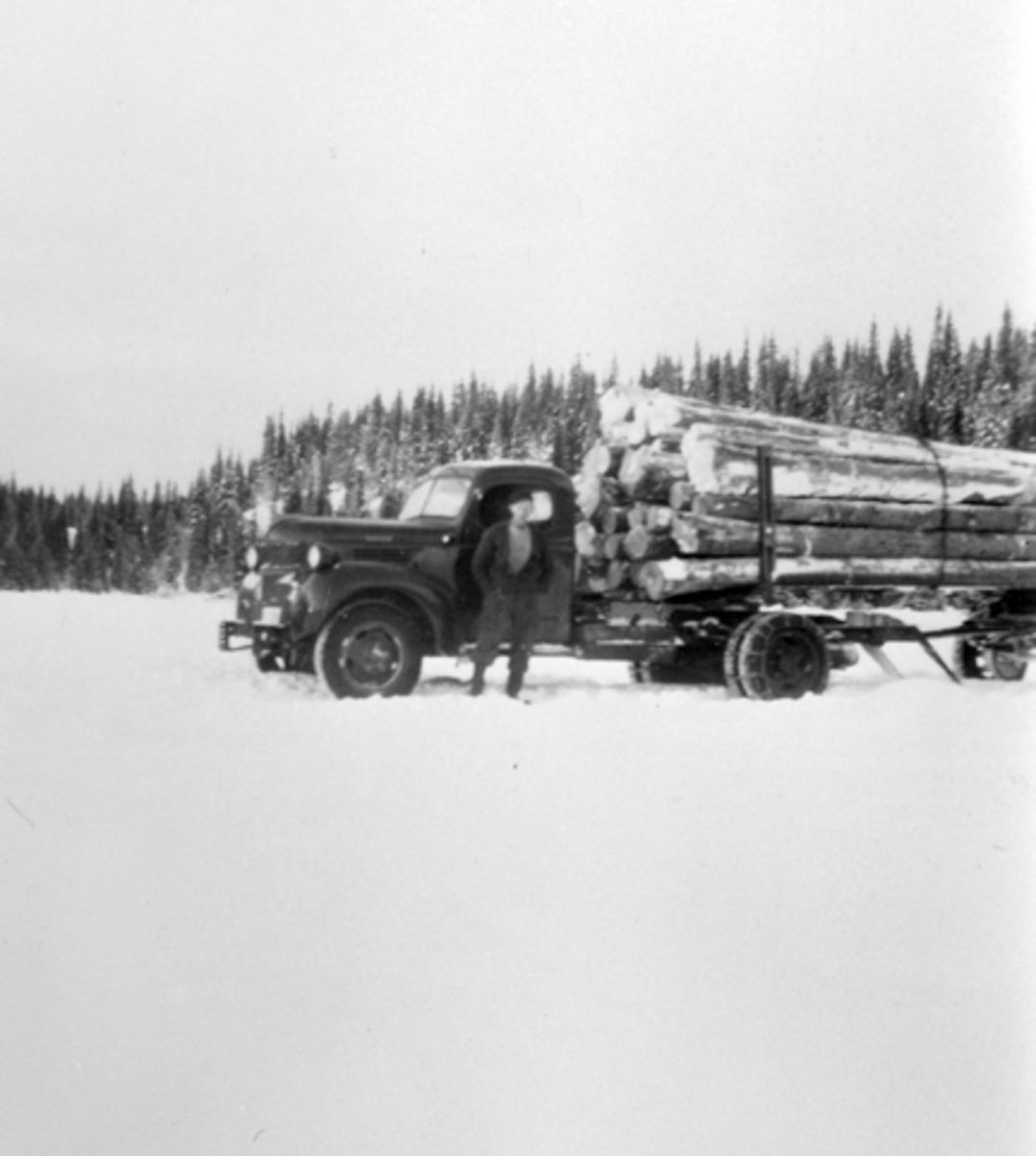 Anno Domkirkeodden, Tømmertransport med lastebil, Bekkedalen, Åsta, Furnes Almenning.