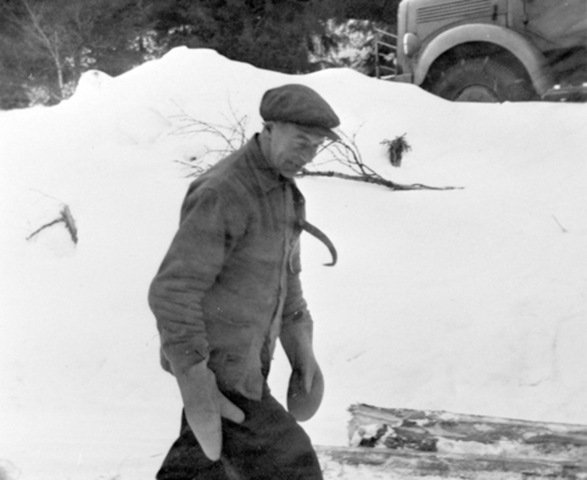 Anno Domkirkeodden, Portrett, Johan Bekkelund med tømmersaks, Furnes Almenning.