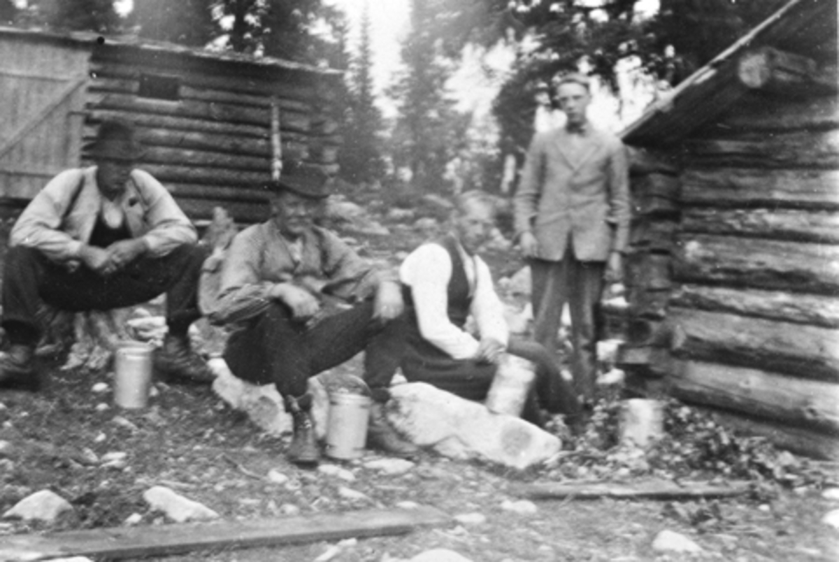 Anno Domkirkeodden, Lindstadbua, Furnes Almenning. Multeplukkere med pause. Fra venstre er Torvald Stensli, Ole Johansen, Knut Dalseng, Jørgen Granerud.