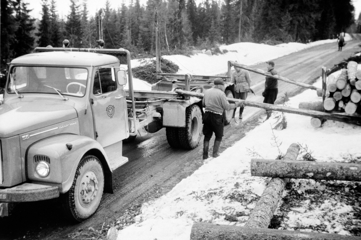 Anno Domkirkeodden, Tømmertransport med Scania Vabis 55 lastebil med Isachsens lesseapperat i Furnes Almenning. Oskar Finstad, Birger Johansen. Bak er avmåler Henry Jevne.