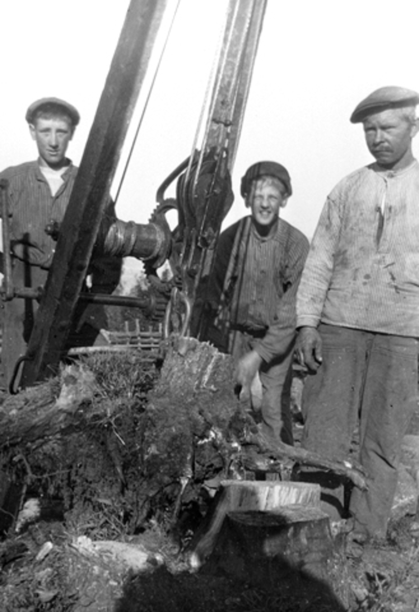 Anno Domkirkeodden, Nydyrking på Toftes Gave, Nedre Sund, Helgøya. Gutter arbeider med stubbebryter.