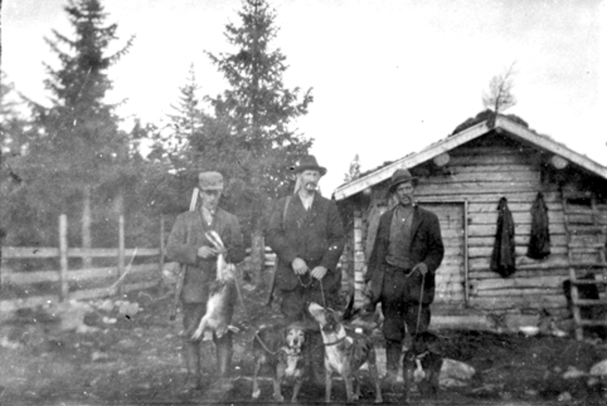 Anno Domkirkeodden, Gruppe harejegere med hunder og hare. Andreas Røset, Martin Slåttsveen, Matinus Væstad Gudbrandsen. Rogstadhytta i bakgrunnen, Furnes Almenning.