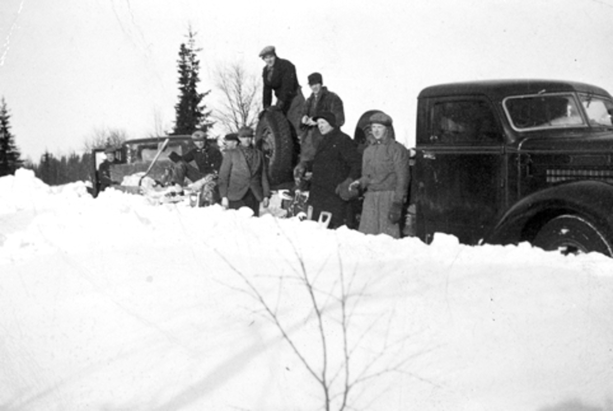 Anno Domkirkeodden, Gruppe skogsarbeidere ved lastebil med tømmer. Fra venstre er Alf Nordengen, Ludvig Ødegarden, Magne Solheim, Einar Jevanord, Asbjørn Rønningen, Ole Røset, Helmer Amdal, Asbjørn Havik. Basarud, Furnes Almenning.