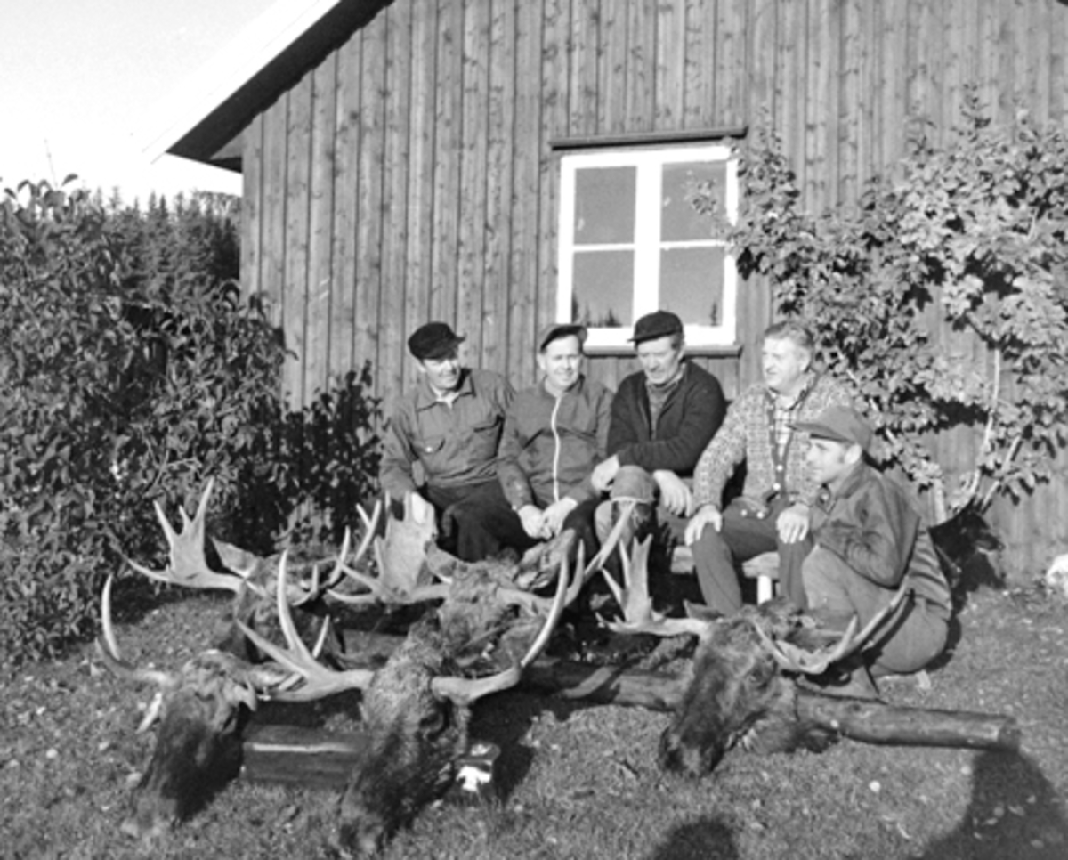 Anno Domkirkeodden, Elgjaktlaget til Anders Heggelund med 5 elggevir. Fra venstre er Kåre Brenden, Birger Johansen, Ragnar Bekken, Anders Heggelund, Kjell Jevne.