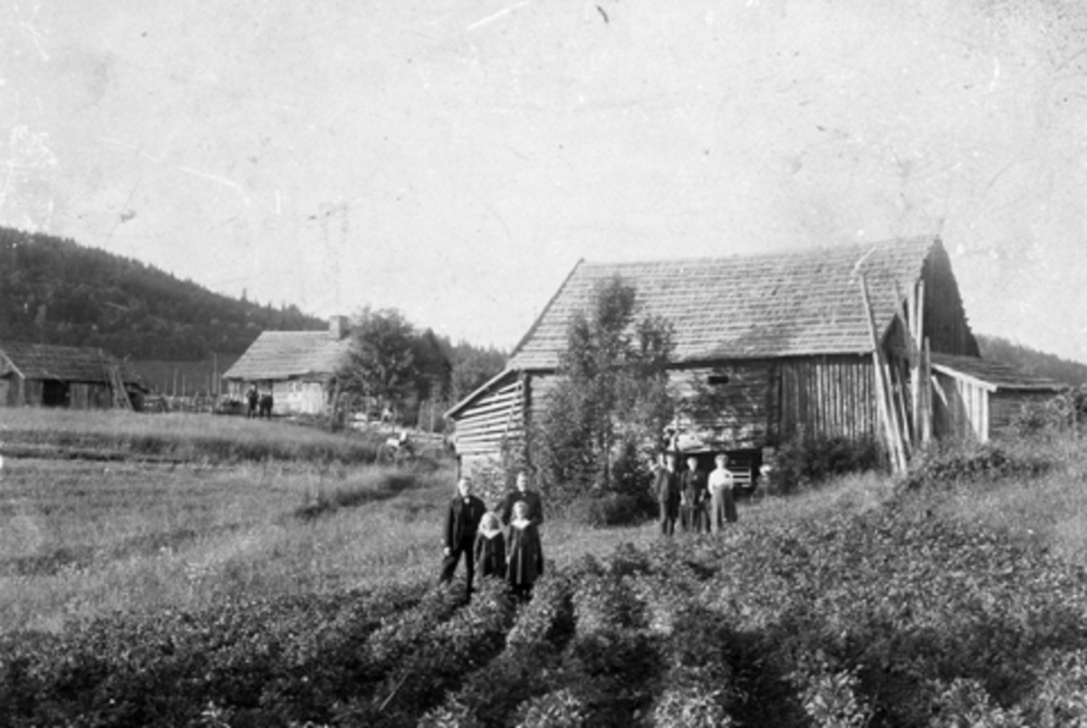 Anno Domkirkeodden, Hannestad øvre, Ødegården, Nes H. Fra venstre (i bakgrunnen) Joannes Evensen Hannestad og Karl Anton Hannestad. Bakerst i forgrunnen Even Johannesen Olsetbakken og Kristine Andersdtr. Hannestad Jentene i forgrunnen Emma Hannestad, gift Løken og Helene Hannestad, gift Leons. Til høyere foran låven K…