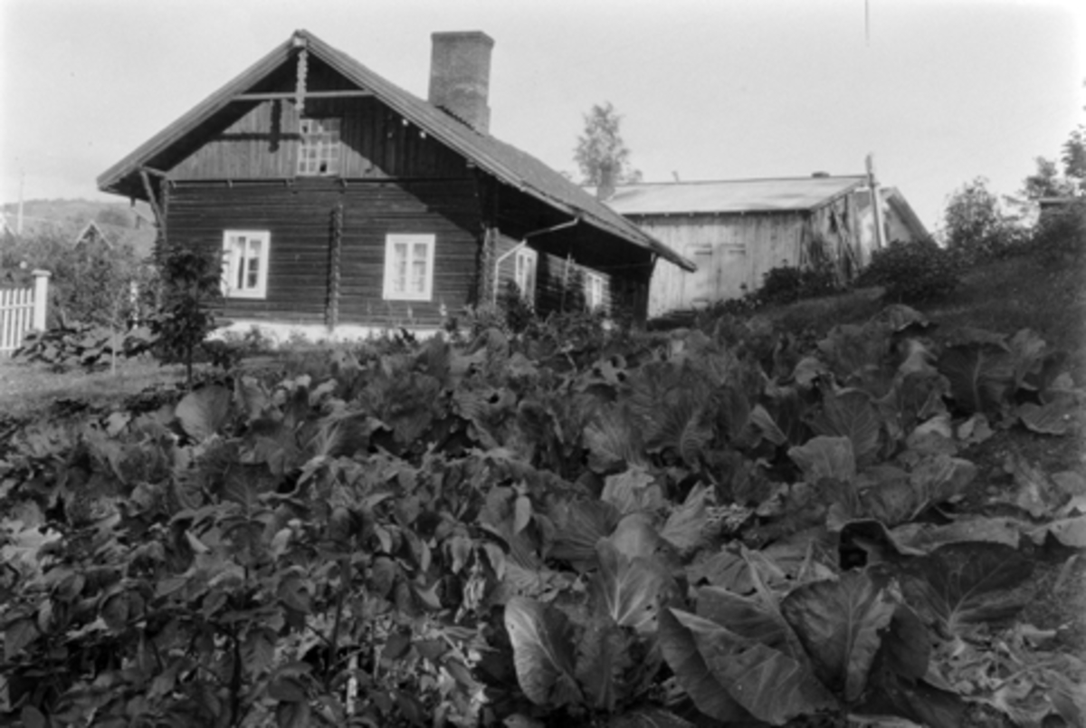 Anno Domkirkeodden, Eksteriør, Møllerbakken ved Husebyparken, Brumunddal. Ble bygd som møllerbolig under Bakken ca. 1870.