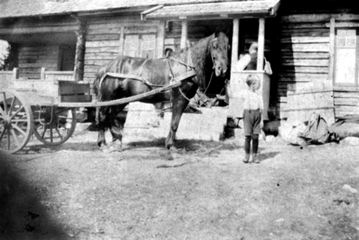 Anno Domkirkeodden, Bjørnstadsetra på Lauvlia, Nes Almenning. Hest og vogn foran størhuset. Erling Feiring f.1915 holder hesten.
