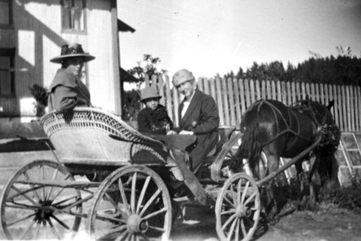 Anno Domkirkeodden, Hest og trille. Tre ukjente personer på Bjørnstad, Nes, Hedmark. Hestekjøretøy.